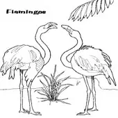Flamingo Coloring 3